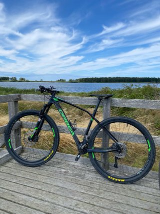 Orbea Alma M50 Carbono 29 (M)