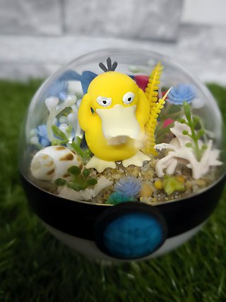 Pokeball terrario Psyduck Pokémon · diorama 8 cm