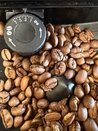 Cafetera Delonghi PrimaDonna XS