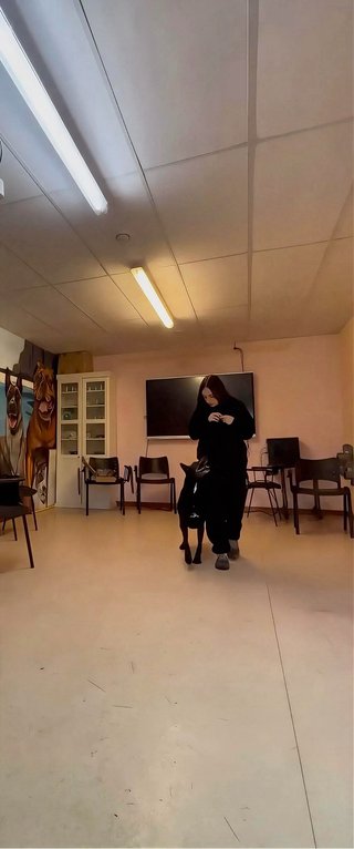 Adiestramiento canino