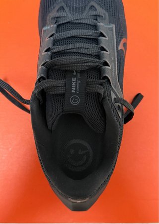 Zapatillas Nike Pegasus 40 Negras Nuevas