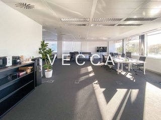 Oficina en alquiler en Arroyo de la Vega en Alcobendas