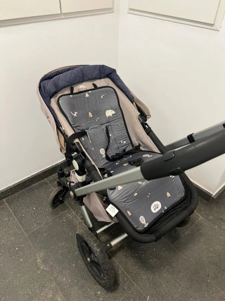 Bugaboo Frog cadira de passeig