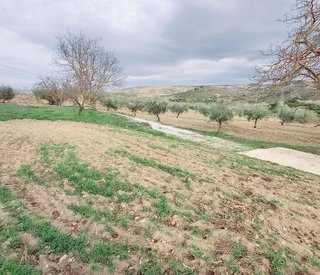 Terreno en venta en Alhama de Granada