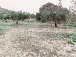 Terreno en venta en Alhama de Granada