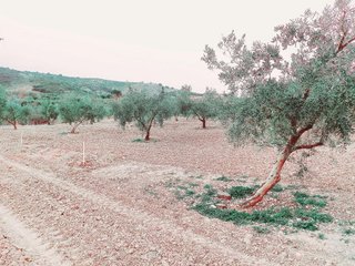 Terreno en venta en Alhama de Granada