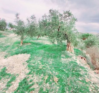 Terreno en venta en Alhama de Granada