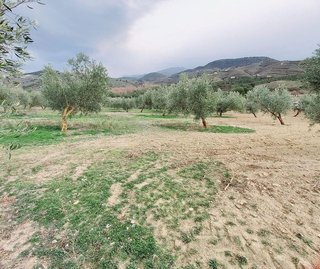 Terreno en venta en Alhama de Granada