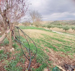 Terreno en venta en Alhama de Granada