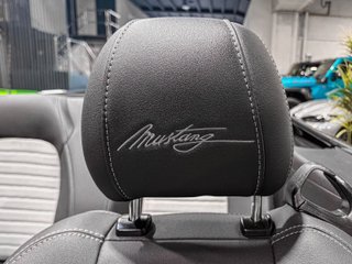 Ford Mustang Cabrio Shelby GT 500 LOOK