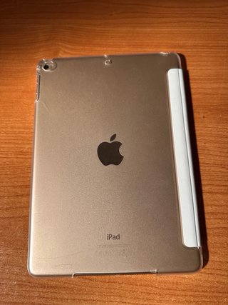 iPad Air 2 16GB Oro + Funda
