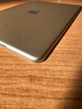 iPad Air 2 16GB Oro + Funda
