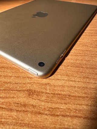 iPad Air 2 16GB Oro + Funda