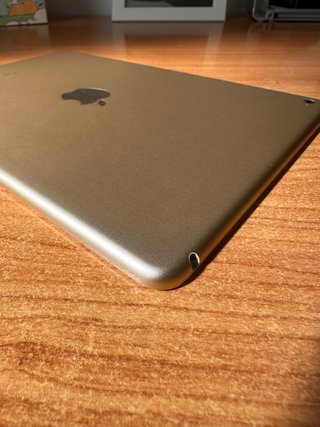 iPad Air 2 16GB Oro + Funda