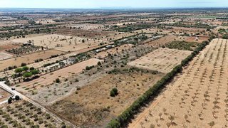 Terreno en venta en Campos