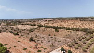 Terreno en venta en Campos