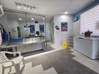 Local comercial en venta en Ceares en Gijón
