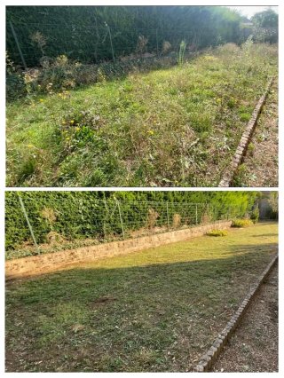 Servicio de mantenimiento de jardines