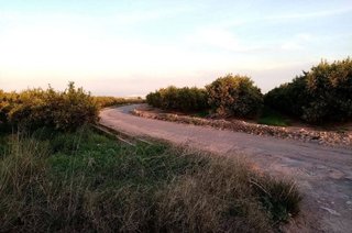 Terreno en venta en Vall d´Uixó (la)
