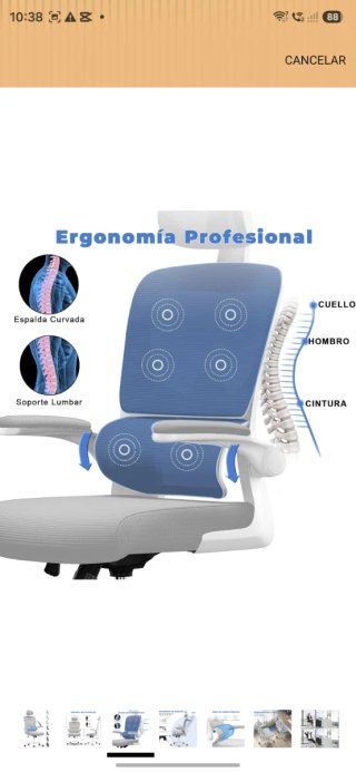 Silla de Oficina Ergonómica con Soporte Lumbar