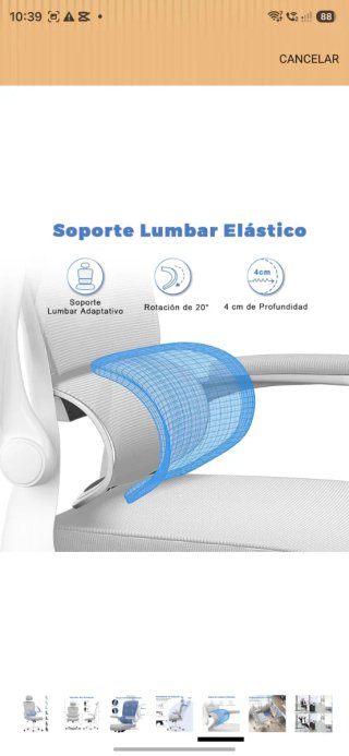 Silla de Oficina Ergonómica con Soporte Lumbar