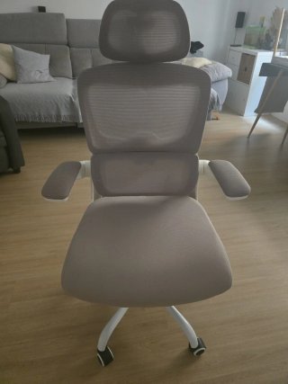 Silla de Oficina Ergonómica con Soporte Lumbar