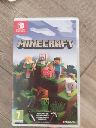 Minecraft Nintendo Switch