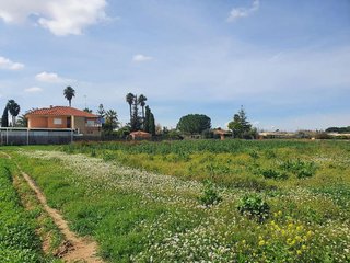 Solar en venta en Puente Tocinos en Murcia