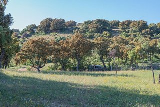 Terreno en venta en Vegas de Matute