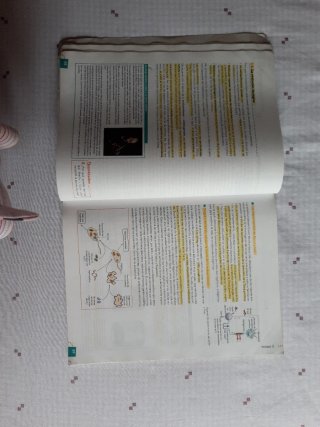 Cultura científica, Bachillerato 1