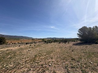 Terreno en venta en Pinós