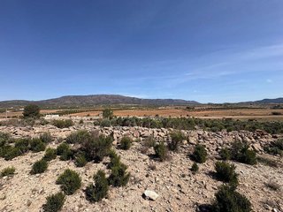 Terreno en venta en Pinós