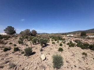 Terreno en venta en Pinós
