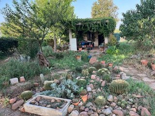 Terreno en venta en Este en Castellón de la Plana