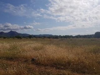 Terreno en venta en Benicasim Golf en Benicasim/Benicàssim