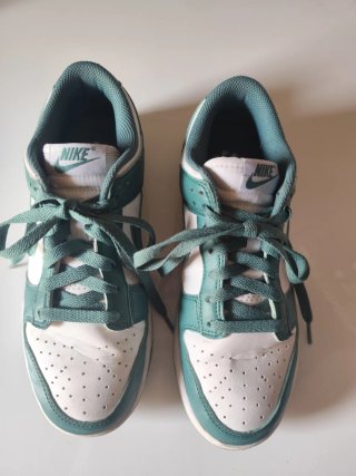 Nike Dunk Low Verde y Blanco