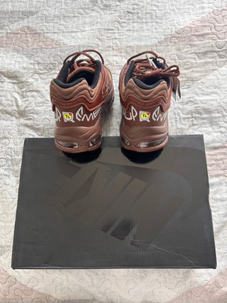 Nike Air Max Plus x Supreme Marrón