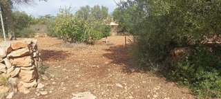Terreno en venta en Llucmajor Interior en Llucmajor