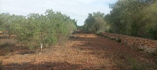 Terreno en venta en Llucmajor Interior en Llucmajor