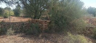 Terreno en venta en Llucmajor Interior en Llucmajor