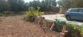 Terreno en venta en Llucmajor Interior en Llucmajor