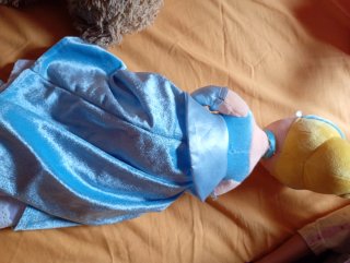 Muñeca Cenicienta Disney