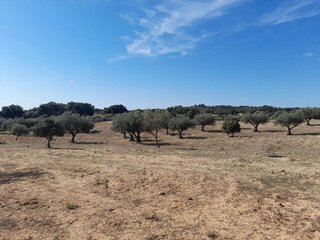 Masía en venta en San Vicente de Alcántara