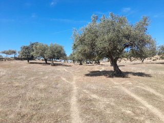 Masía en venta en San Vicente de Alcántara