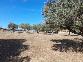 Masía en venta en San Vicente de Alcántara