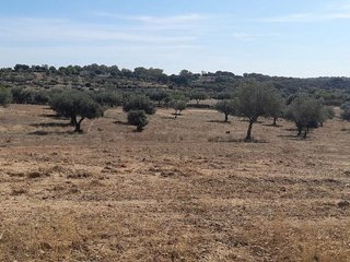 Masía en venta en San Vicente de Alcántara