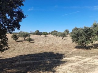 Masía en venta en San Vicente de Alcántara