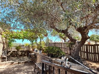 Masía en venta en San Vicente de Alcántara