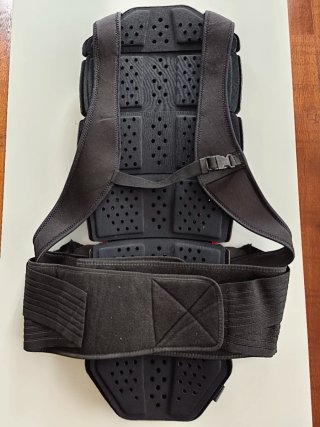 Espaldera/protector de columna Dainese Manis T. L