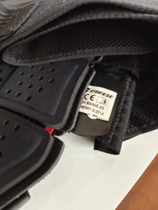 Espaldera/protector de columna Dainese Manis T. L